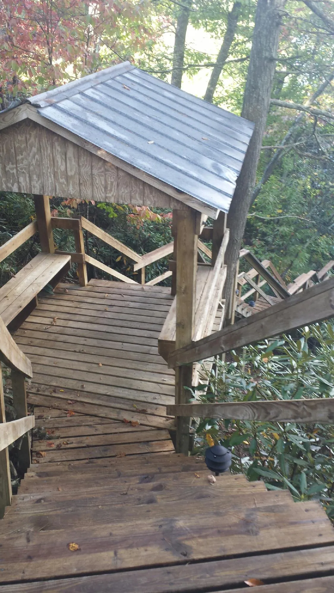 Metal roofed shelter over wooden steps on a wooded walkway — Skylight Repair & Installation work by our crew in Willmar